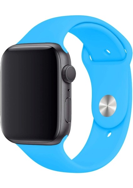 Apple Watch Uyumlu 3 4 5 6 7 8 Se Delikli 42 44 45MM Kordon Kayış Bileklik Klasik Silikon fiyatları