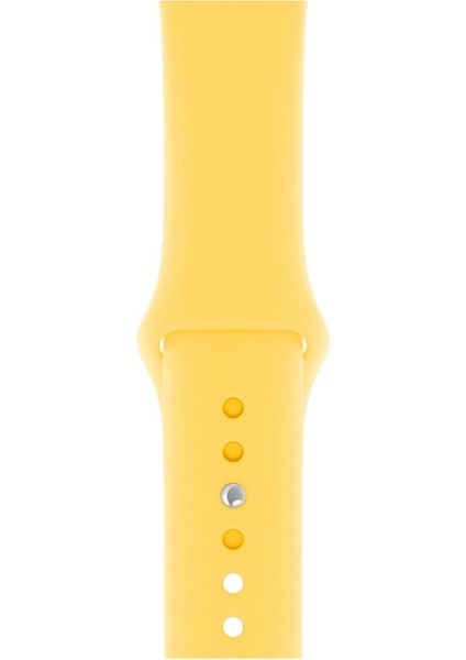 Apple Watch Uyumlu 3 4 5 6 7 8 Se Delikli 42 44 45MM Kordon Kayış Bileklik Klasik Silikon