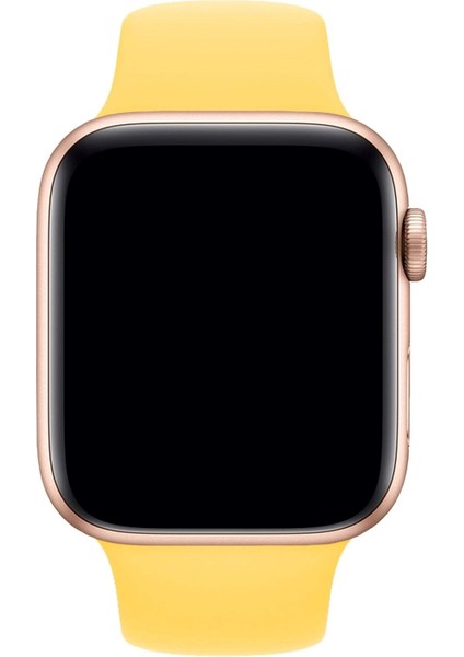 Apple Watch Uyumlu 3 4 5 6 7 8 Se Delikli 42 44 45MM Kordon Kayış Bileklik Klasik Silikon fırsatları