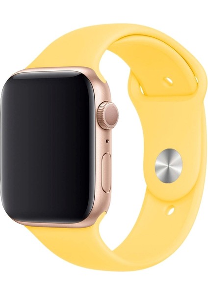 Apple Watch Uyumlu 3 4 5 6 7 8 Se Delikli 42 44 45MM Kordon Kayış Bileklik Klasik Silikon indirimleri