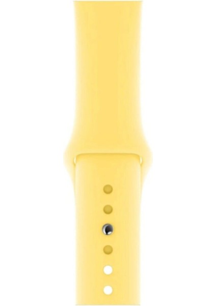 Watch Uyumlu 3 4 5 6 7 8 Se Delikli 38 40 41MM Kordon Kayış Bileklik Klasik Silikon