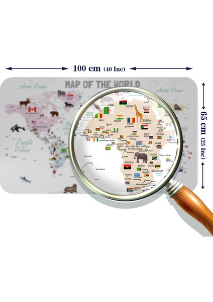 Eğitici - Öğretici Dünya ve Türkiye Haritası Çocuk Odası Duvar Stickerı modelleri