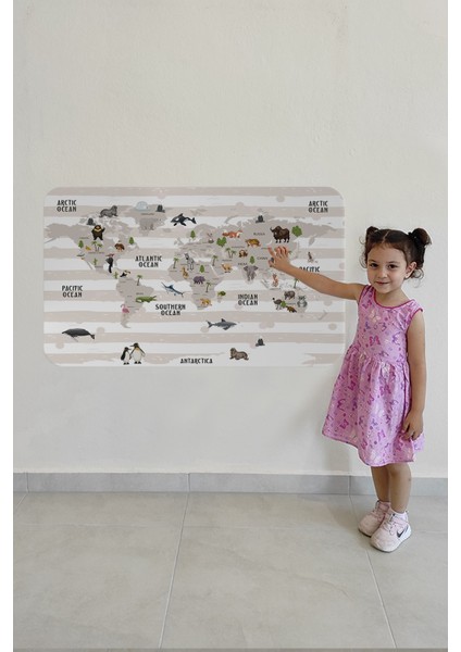 Eğitici Dünya Haritası Dünya Atlası Çocuk ve Bebek Odası Duvar Sticker fırsatları