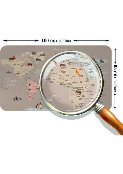 Eğitici Dünya Haritası Dünya Atlası Çocuk ve Bebek Odası Duvar Sticker modelleri