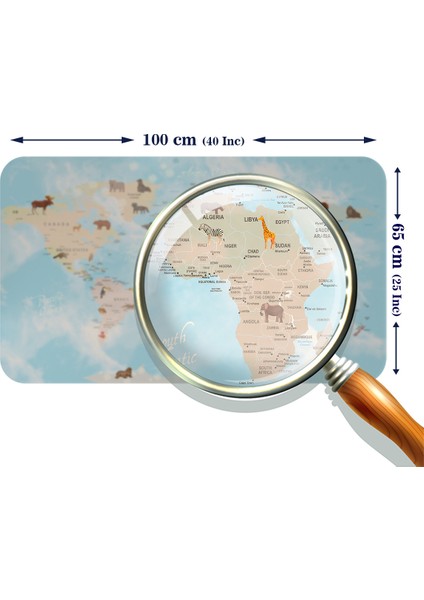Eğitici Dünya Haritası Dünya Atlası Çocuk ve Bebek Odası Duvar Sticker modelleri