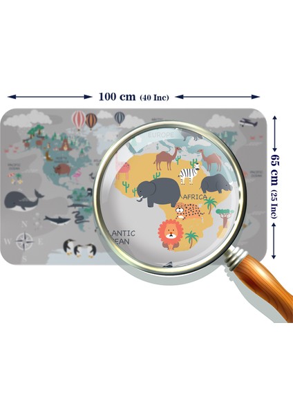 Eğitici Dünya Haritası Dünya Atlası Çocuk ve Bebek Odası Duvar Sticker modelleri