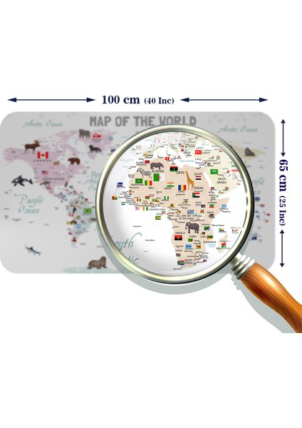 Eğitici ve Bayraklı Dünya Haritası Dünya Atlası Çocuk ve Bebek Odası Duvar Sticker modelleri