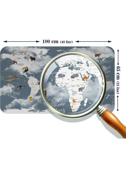 Eğitici Dünya Haritası Dünya Atlası Çocuk ve Bebek Odası Duvar Sticker modelleri