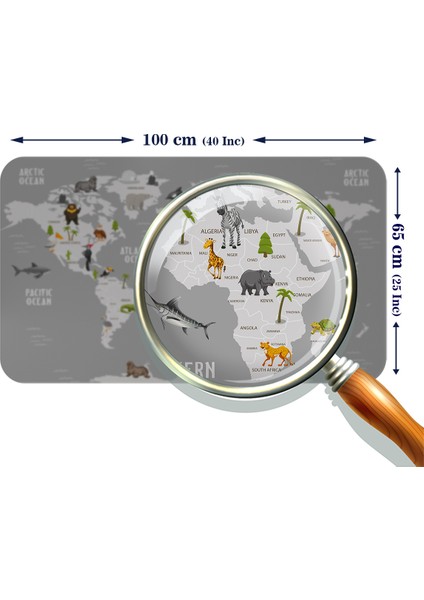 Eğitici Dünya Haritası Dünya Atlası Çocuk ve Bebek Odası Duvar Sticker modelleri