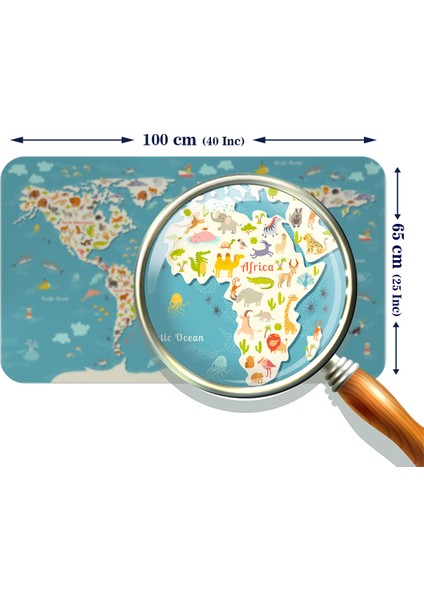 Eğitici Dünya Haritası Dünya Atlası Çocuk ve Bebek Odası Duvar Sticker modelleri