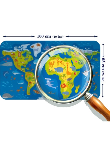 Eğitici Dünya Haritası Dünya Atlası Çocuk ve Bebek Odası Duvar Sticker modelleri