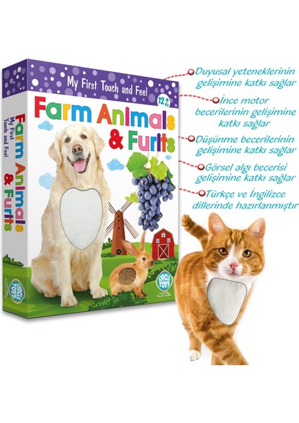 Circle Toys Dokun Hisset Çiftlik Hayvanları ve Meyveler