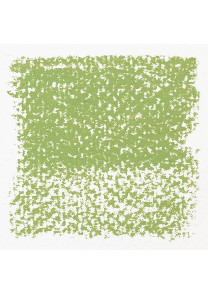 Soft Pastel Boya Olive Green 8