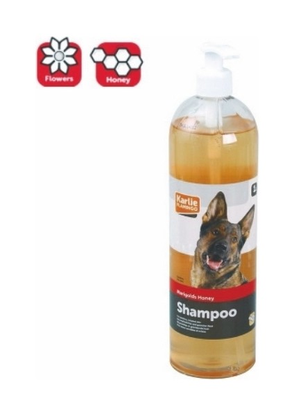 Aynısafa Çiçeği Ballı Köpek Şamp. 300 ml