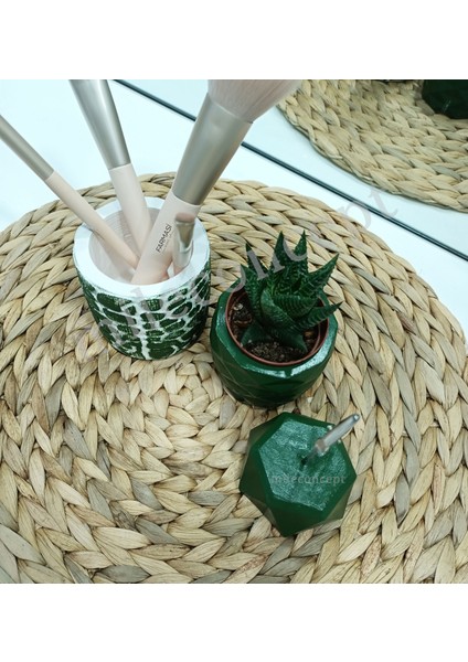 Dekoratif Masaüstü Kalemlik Saksı Sukulent Kaktüs ve Notluk Seti fiyatları