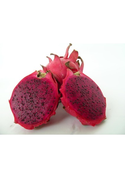 Thai Red (Özel Tür) Ejder Meyvesi Pitaya Fidanı