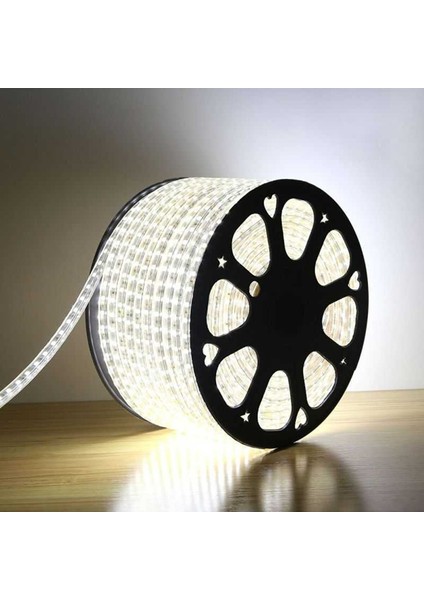 Hortum Esnek Şerit LED Beyaz Işık + 220V FIŞ/1,2,3,4,5,10,15,20,25,50,100 Metre