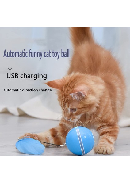 USB Şarj Edilebilir Kedi Topu Oyuncağı (Yurt Dışından)