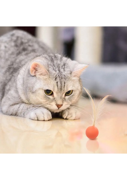Bouncy Badminton Etkileşimli Eğlenceli Kedi Oyuncağı (Yurt Dışından)