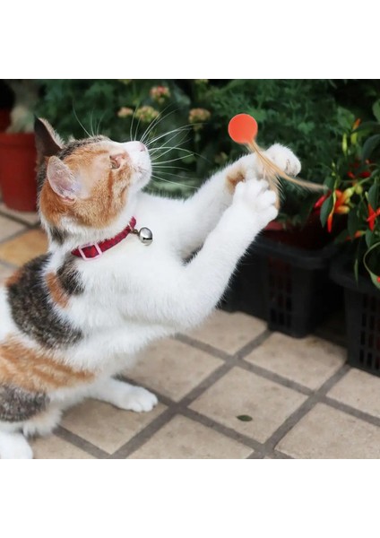 Bouncy Badminton Etkileşimli Eğlenceli Kedi Oyuncağı (Yurt Dışından)