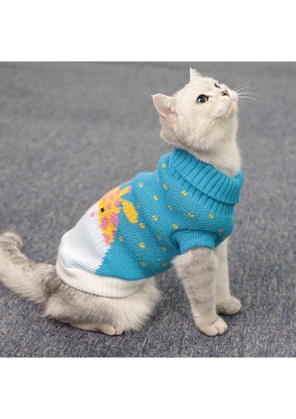 Kışlık Balıkçı Yaka Örgü İki Bacak Kedi Kıyafeti (Yurt Dışından) fiyatları