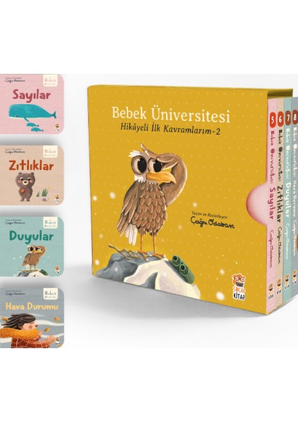 Bebek Üniversitesi Hikayeli Ilk Kavramlarım 2. Set 4 Kitap