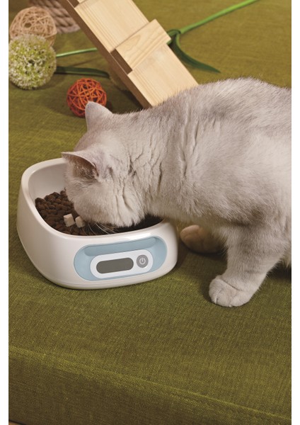 Kedi-Köpek Mama ve Su Kabı Elektronik Beslenme Kabı 2kg/1g modelleri