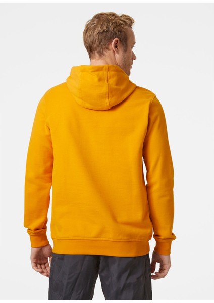 Helly Hansen Hh Logo Hoodie Erkek Sweat Shirt fiyatları