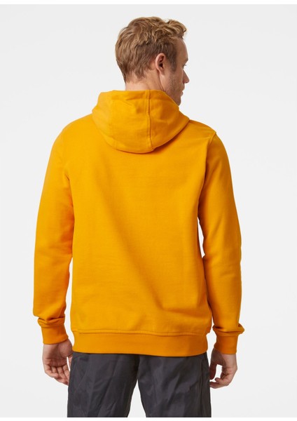 Helly Hansen Hh Logo Hoodie Erkek Sweat Shirt