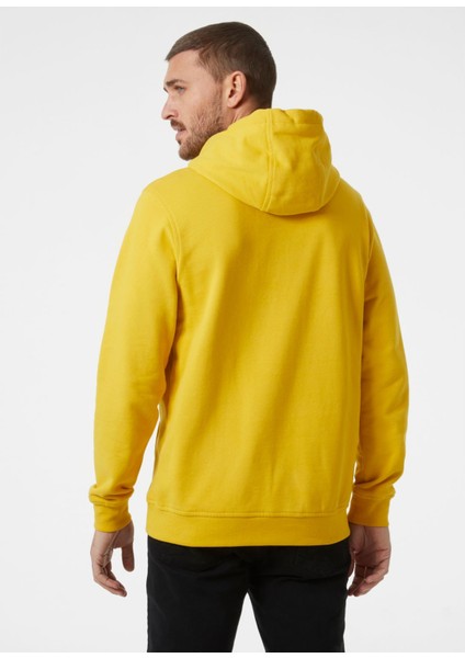 Helly Hansen Hh Box Hoodie Erkek Sweat Shirt fiyatları