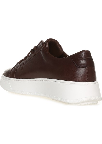 Kahve Erkek Deri Sneaker DAJON fiyatları