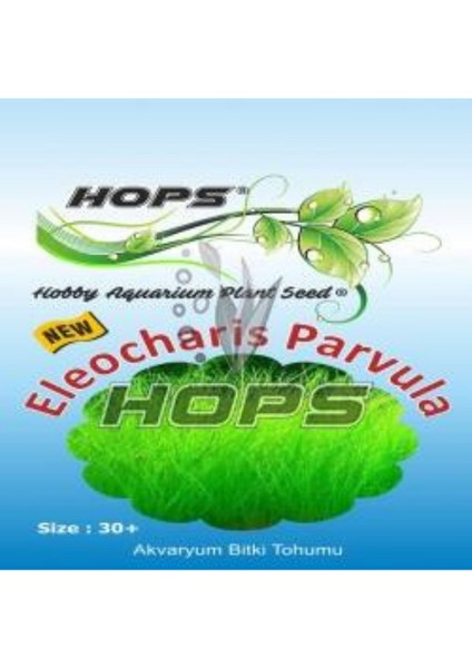 Hops Akvaryum Için Canlı Bitki Tohumu Parvula