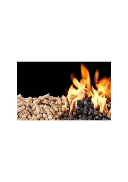 Çam Pelet Yakıtı 100% Doğal Çam Peleti 6mm 20 Kg fiyatları