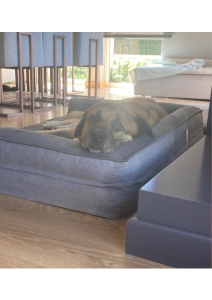 Füme Gri Premium Sofa Blok Visko Sungerli Alezli Fermuarlı Yıkanabilir Köpek Yatağı