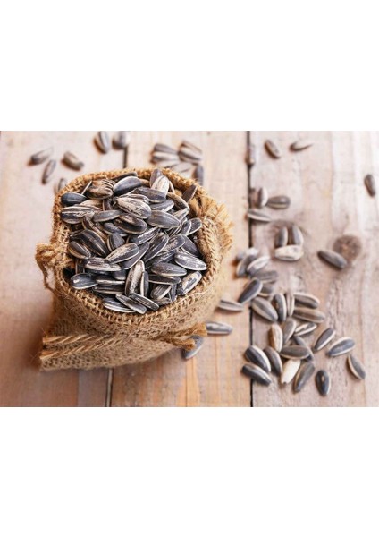 Ay Çekirdeği Kavrulmuş 500 gr