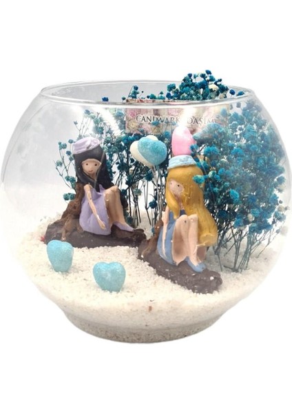 Teraryum Canım Arkadaşım Mavi Büyü modelleri