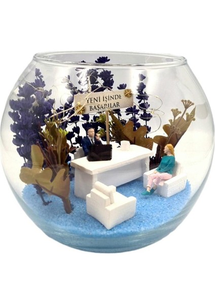 Teraryum Yeni İşin de Başarılar, Yeni İş, Terfi Hediyelik (Bay) modelleri