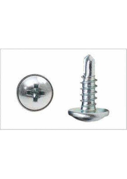 Matkap Uçlu Akıllı Vida 3,9X25 ( 50 Adet )