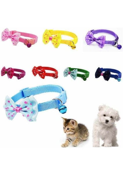 Künye-Papyon Tasarımlı Kedi Köpek TASMASI-6049