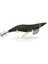 3014 Kalamar Zokası 12CM Crazy Squid Size 3.5 163 3