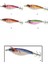 3003 Kalamar Zokası 6cm Excelance Squid 4 1