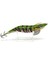 3014 Kalamar Zokası 12CM Crazy Squid Size 3.5 144 3