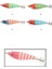 3004 Kalamar Zokası 8cm Zebra Squid 2 1
