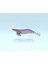3017 Kalamar Zokası 10CM Wanted Uv Squid Size 2.5 51 1