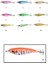 3010 Kalamar Zokası 7cm Flash Filinta Squid 2 1