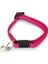 Yavru Kedi Tasması 23 cm Pembe 1