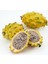 Colombia Yellow Dragon Fruıt (Özel Tür) Ejder Meyvesi Pitaya Fidanı 1