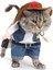 Sonbahar ve Kış Denim Kedi Kıyafeti + Şapka (Yurt Dışından) 1