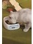 Kedi-Köpek Mama ve Su Kabı Elektronik Beslenme Kabı 2kg/1g 3
