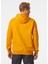 Helly Hansen Helly Hansen  Hh Logo Hoodie Erkek Sweat Shirt 2